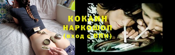 мдпв Магас