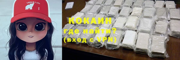 хмурый Мегион
