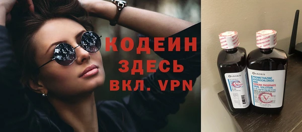 хмурый Мегион