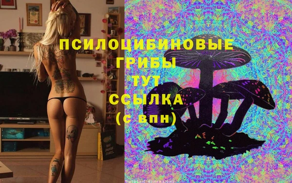 хмурый Мегион